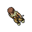 Nomad