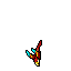 Parrot