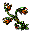 Spit Nettle