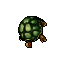 Tortoise